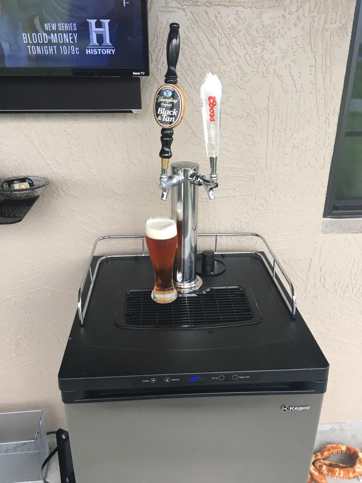 Kegco K309SS-2 24