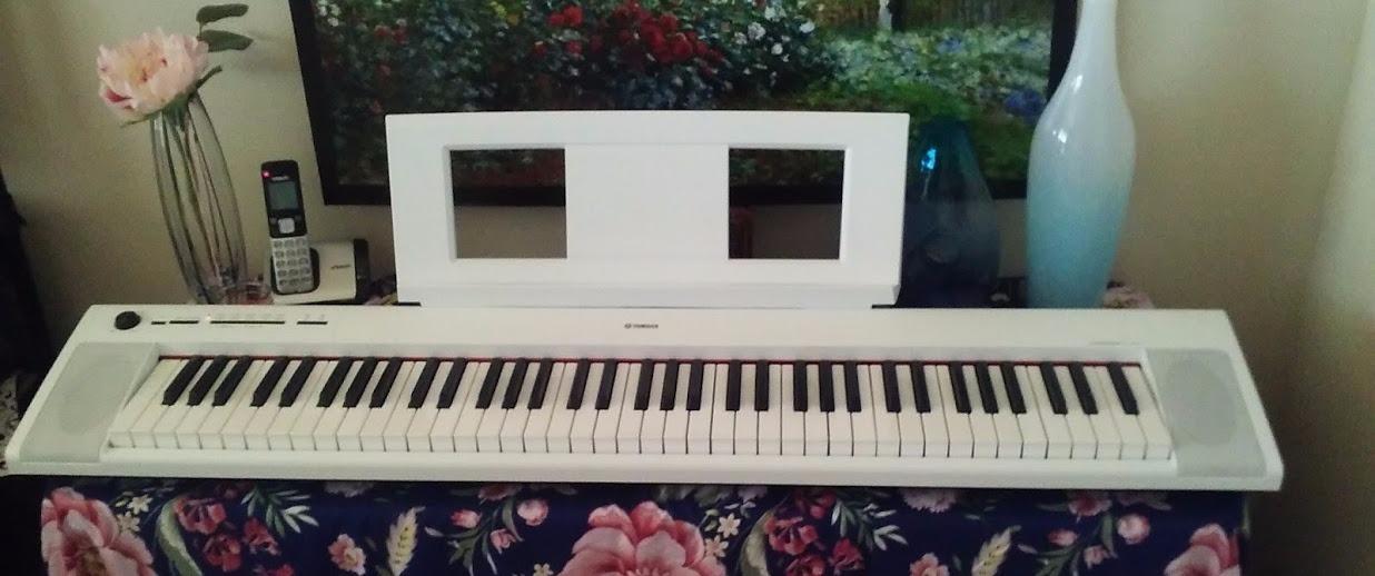 Yamaha Piaggero 76-Key Lightweight Portable Keyboard, Premium Yamaha Voices, Graded Soft Touch Keys, Black NP32B customer photo 1