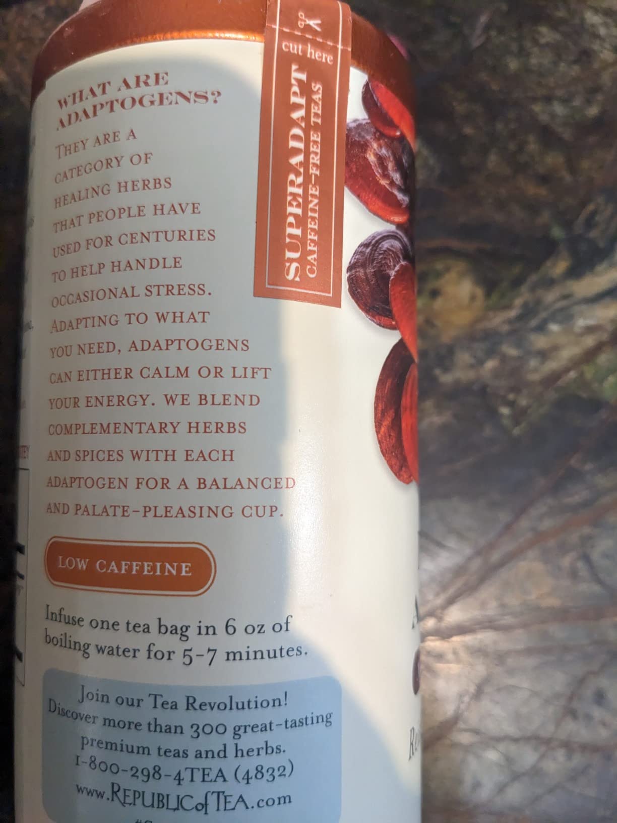 The Republic of Tea SuperShroom Organic Calm Herbal Tea, 36 Count | Caffeine Free. Suitable for day or evening sipping. Notes of cocoa, roasted root and earthy mushroom. customer photo 1