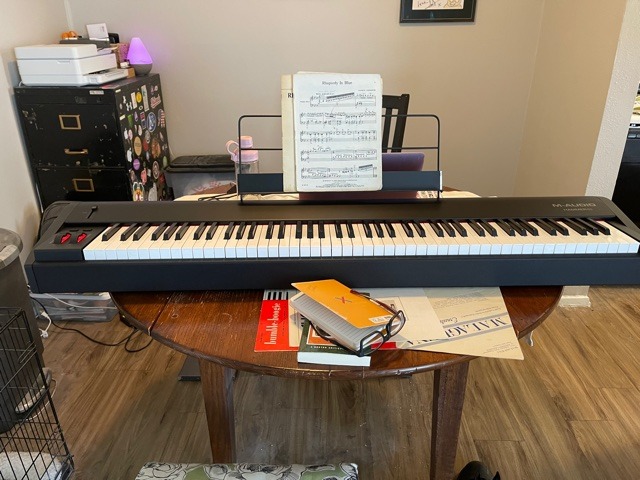 M-AUDIO Hammer 88 USB MIDI Keyboard Controller | 88 Weighted Hammer Action Keys and a Studio-Grade Recording Software Suite customer photo 1