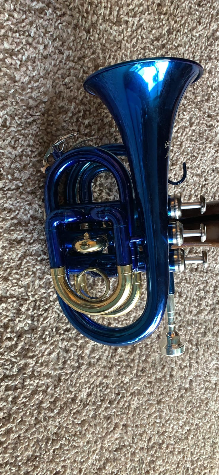 Sky Band Approved Brass Bb Pocket Trumpet with Case, Cloth, Gloves and Valve Oil (Silver) customer photo 2