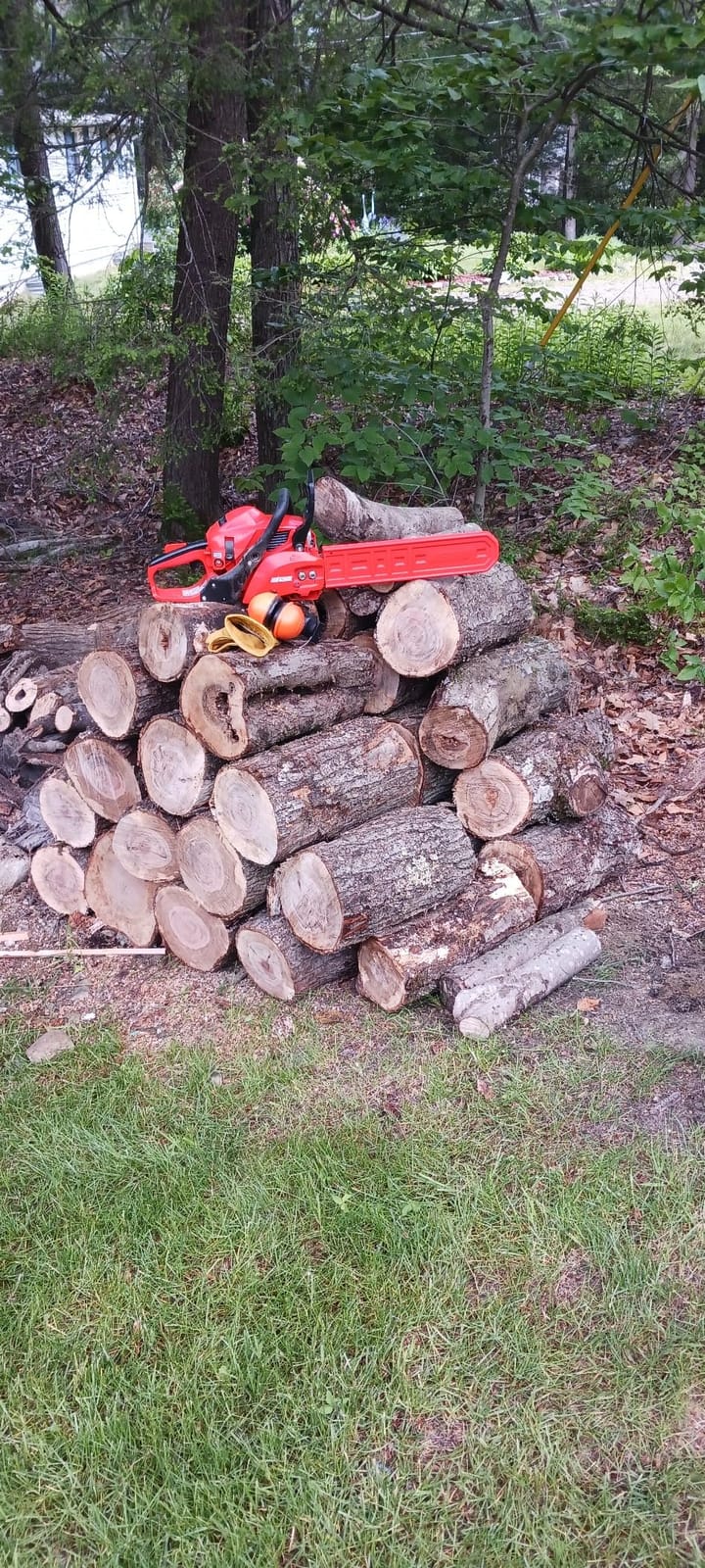 Echo CS-3410-16 30.5 cc Gas Chainsaw with 16 in. Bar and Chain customer photo 2