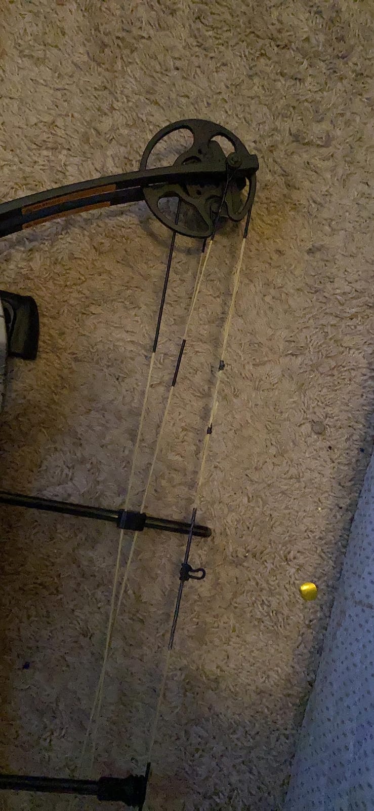 Bear Archery Limitless Dual Cam Compound Bow - Includes Quiver, Sight and Rest, God's Country customer photo 2