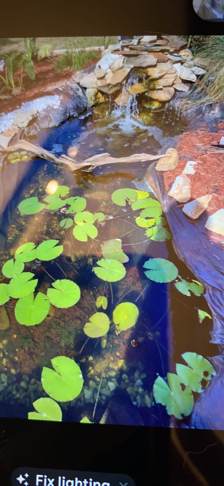 The Pond Guy UltraUV Pond Water Clarifier, EPA Registered UV Light, 13 Watt | UVC treatment for planktonic algae and green water; safe for plants, koi fish, ducks, turtles and aquatic life customer photo 1