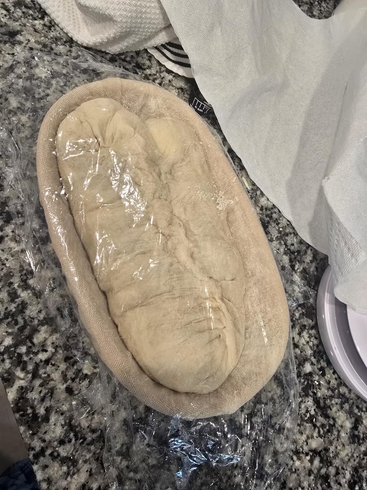 DOYOLLA Bread Proofing Baskets Set of 2 10 inch Oval Shaped Dough Proofing Bowls w/Liners Perfect for Professional & Home Sourdough Bread Baking customer photo 2