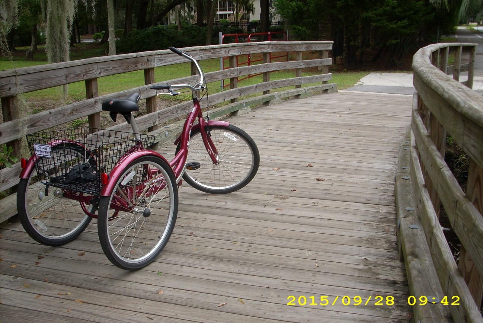 Schwinn Meridian Adult Tricycle, 3-Wheel Bike with Basket, Single Speed customer photo 2