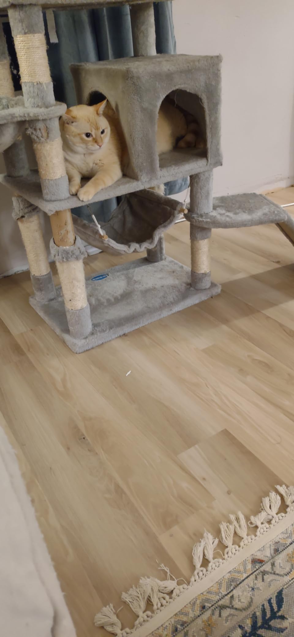 Luxury Vinyl Floor Tiles by Lucida USA | Peel & Stick Adhesive Flooring for DIY Installation | 36 Wood-Look Planks | BaseCore | 54 Sq. Feet customer photo 2