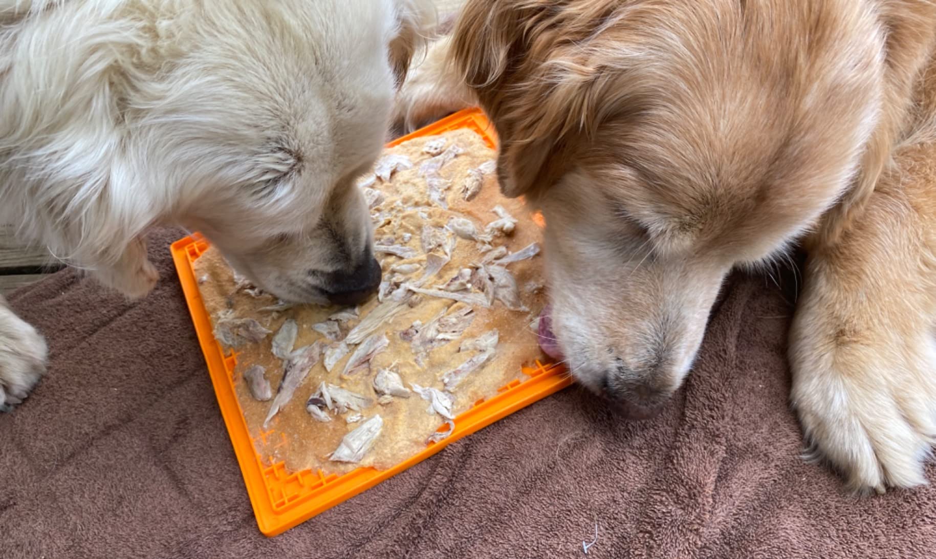 LickiMat Classic Soother Slow Feeder for Dogs Lick Mat Boredom Anxiety Reducer Perfect for Food Treats Yogurt Liquid Food Peanut Butter Fun Alternative to a Slow Feed Dog Bowl, Green customer photo 1