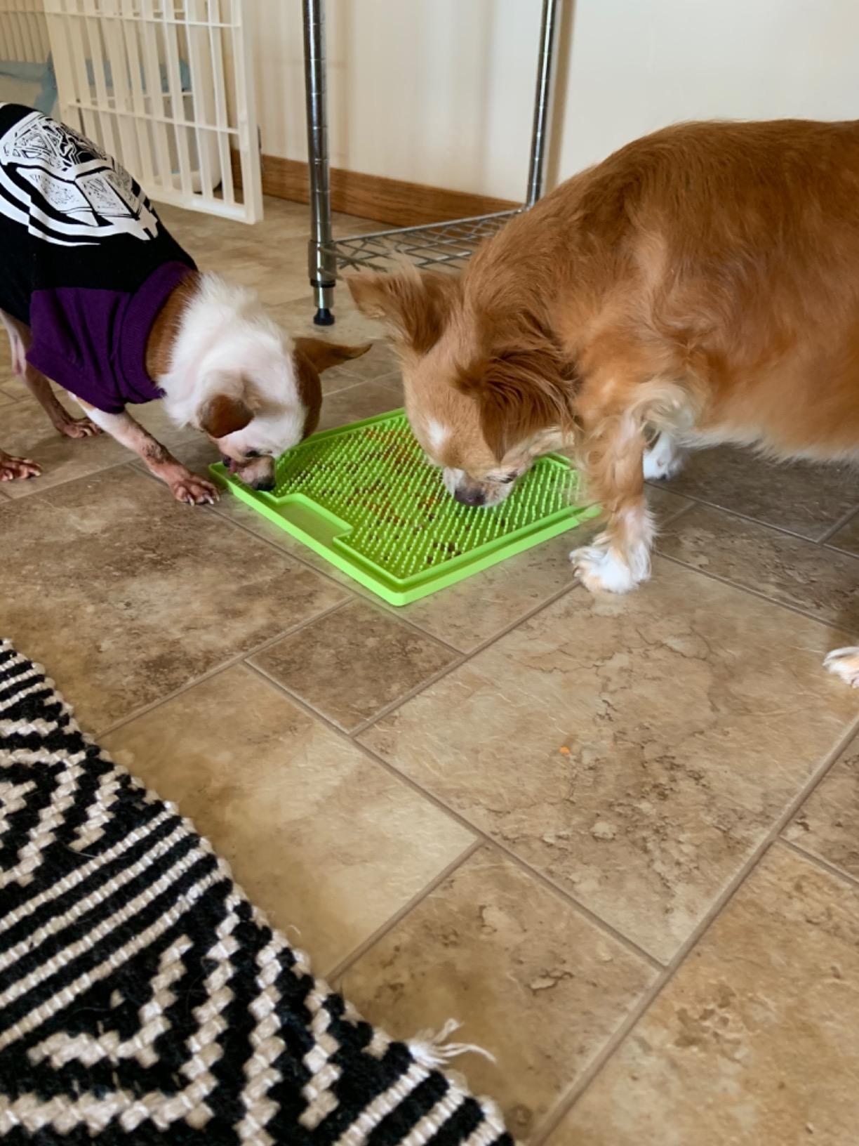 LickiMat Classic Soother Slow Feeder for Dogs Lick Mat Boredom Anxiety Reducer Perfect for Food Treats Yogurt Liquid Food Peanut Butter Fun Alternative to a Slow Feed Dog Bowl, Green customer photo 2