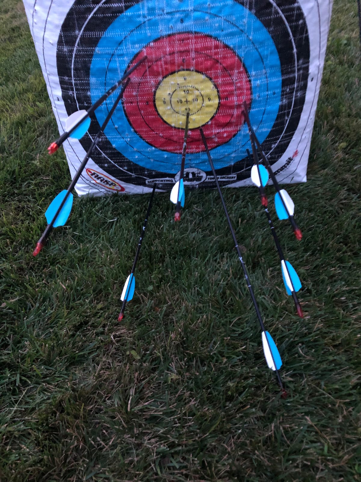 Compound Bow Archery for Youth and Beginner, Right Handed, 19