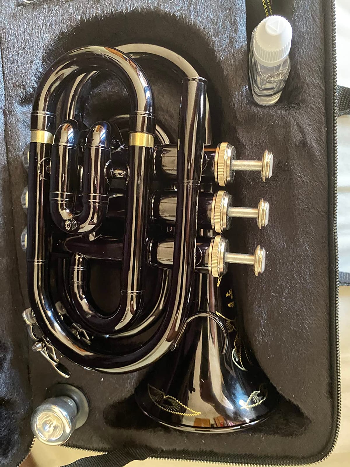 Glory Bb Pocket Trumpet with Case, Cleaning Cloth, Gloves, Gold Lacquer customer photo 1