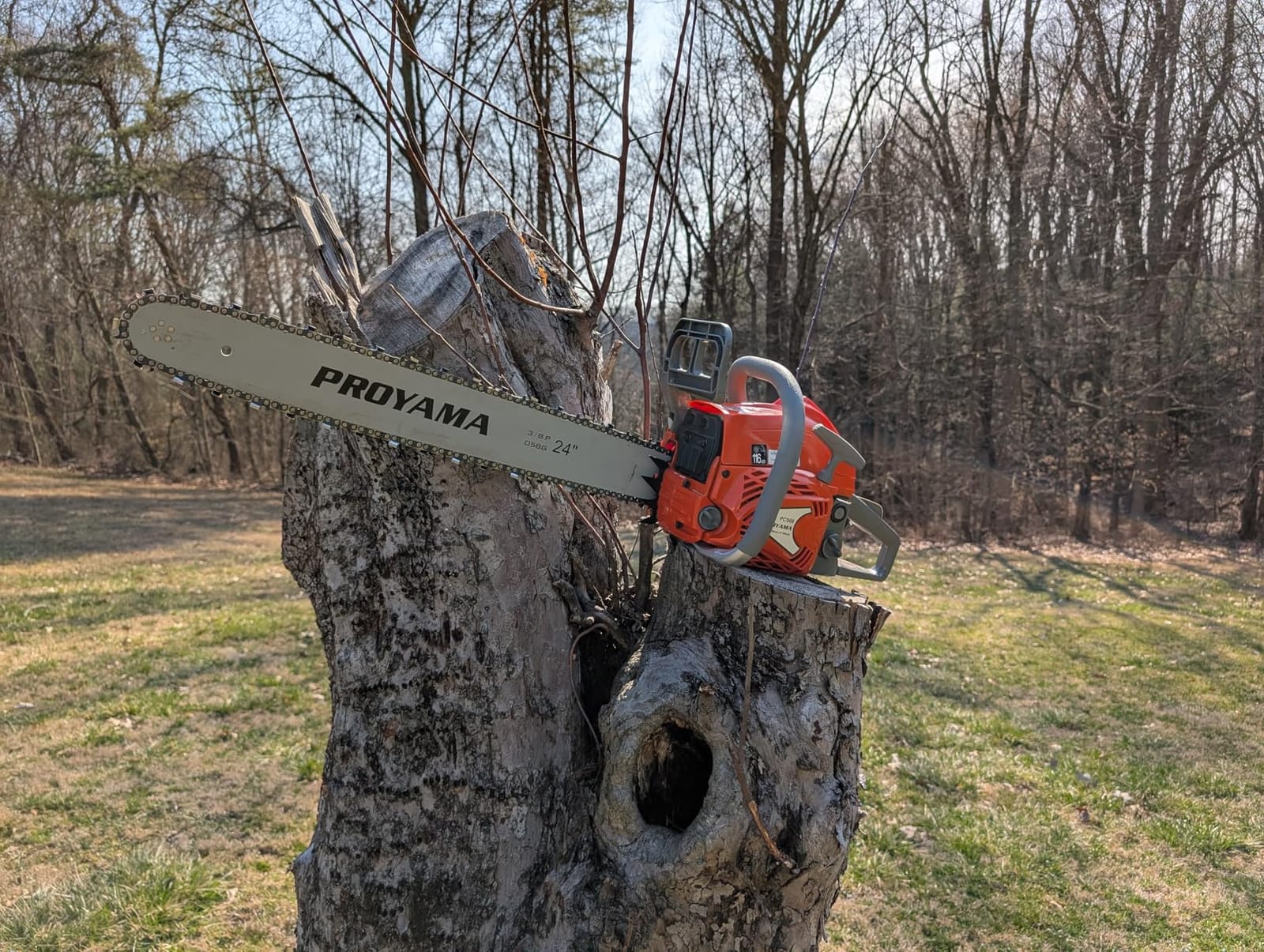PROYAMA 68CC Gas Powered Chainsaw, 24 Inch 20 Inch Top Handle Chain Saw, 4.5HP 2-Cycle customer photo 2