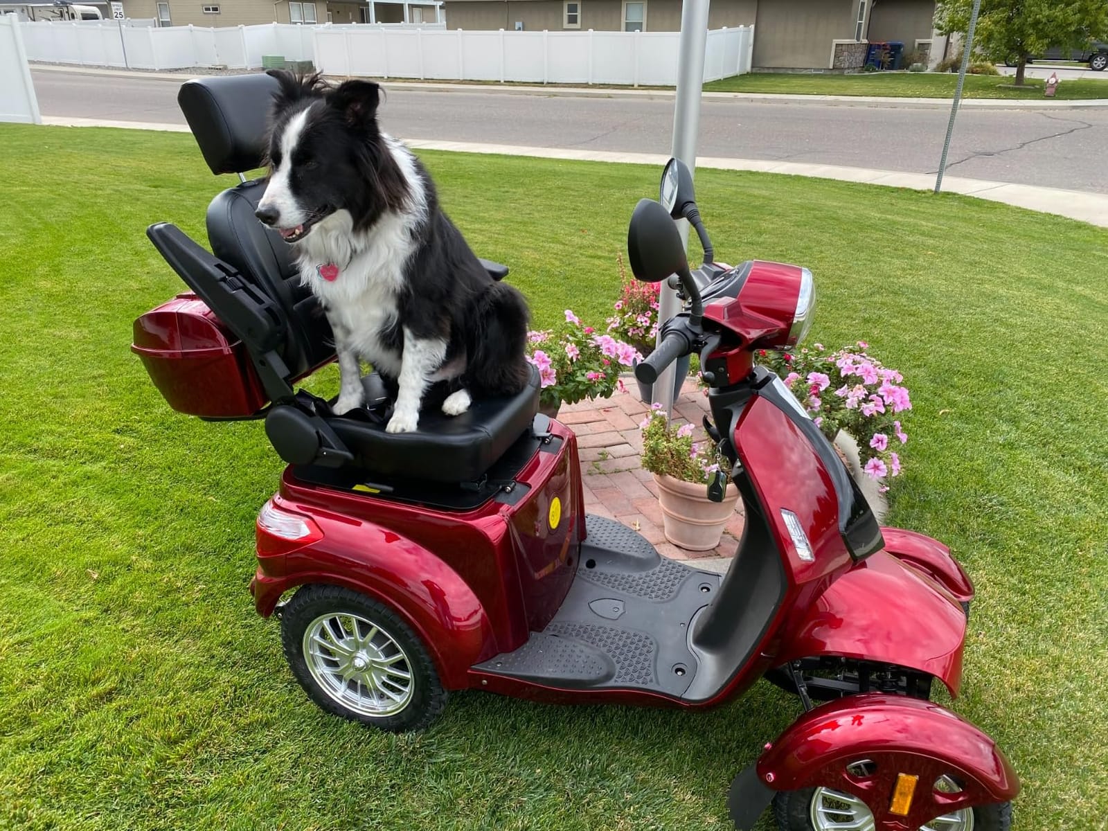 Heavy Duty 4 Wheel Mobility Scooters for Seniors & Adults 500lbs Capacity - Electric Powered Chair - 1000W All Terrain Fast Mobility Scooter for Travel w/Long Range Battery Remote Key customer photo 1