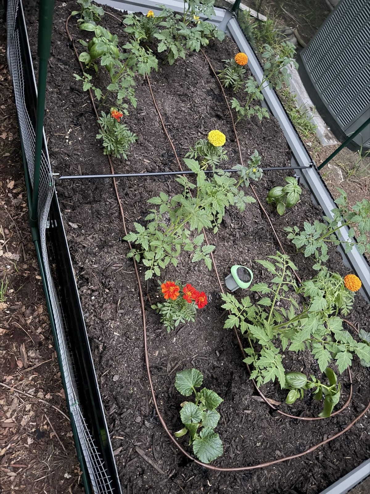 Rain Bird GARDENKIT Drip Irrigation Kit customer photo 1