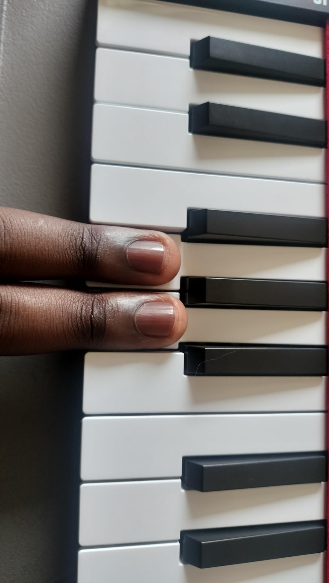 Akai Professional LPK25 25-Key USB MIDI Keyboard Controller | Velocity-Sensitive Mini Keys, Arpeggiator, Universal DAW Compatiblity, for Music Producers customer photo 2