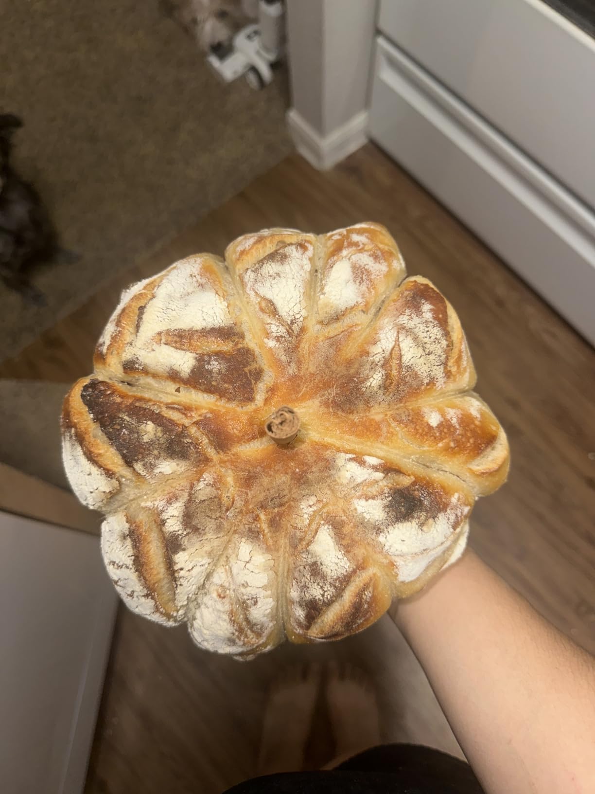 Saint Germain Bakery Premium Round Bread Banneton Basket with Liner - Perfect Brotform Proofing Basket for Making Beautiful Bread (9 inch) customer photo 1