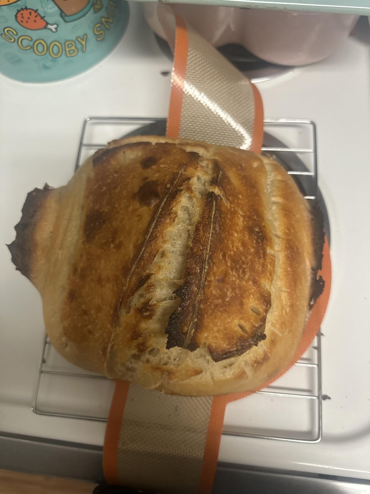 Saint Germain Bakery Premium Round Bread Banneton Basket with Liner - Perfect Brotform Proofing Basket for Making Beautiful Bread (9 inch) customer photo 2