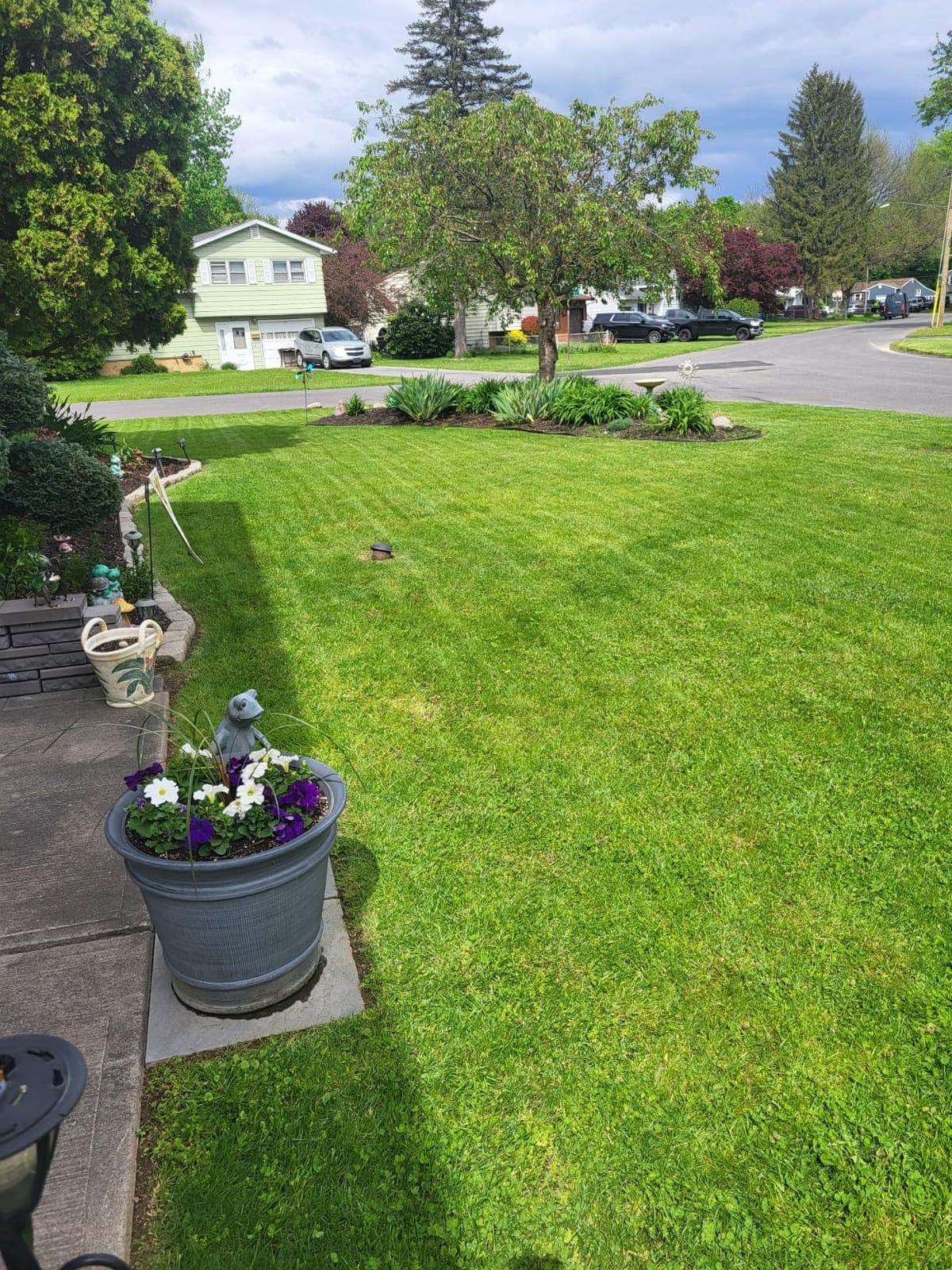 EGO POWER+ Electric Lawn Mower, Self-Propelled Cordless with Touch Drive - LM2125SP customer photo 1
