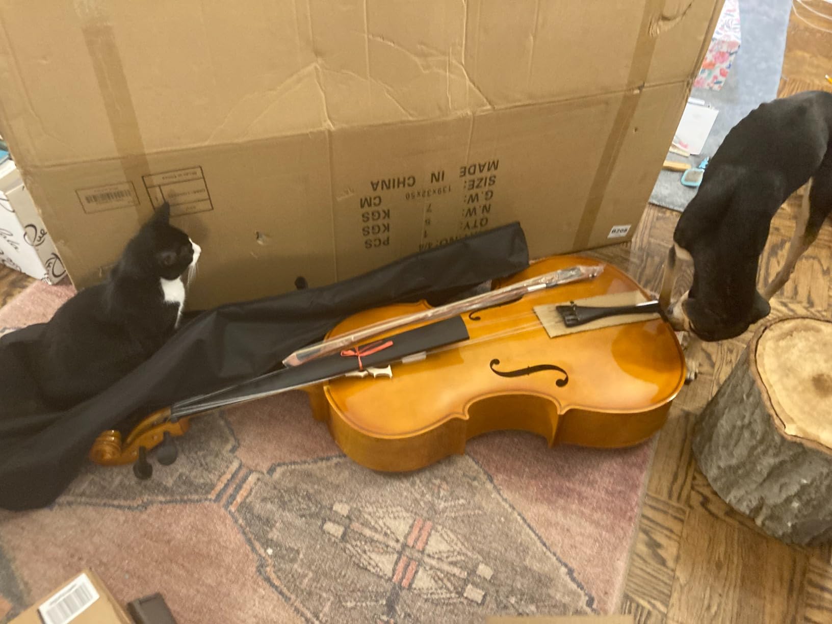 Ktaxon Full-Size Cello, Beginner Cello 4/4, Acoustic Cello Kit | Full Equipment with Portable Bag, Bow, Bridge and Rosin for Beginners | Adults & Kids String Musical (Nature) customer photo 1