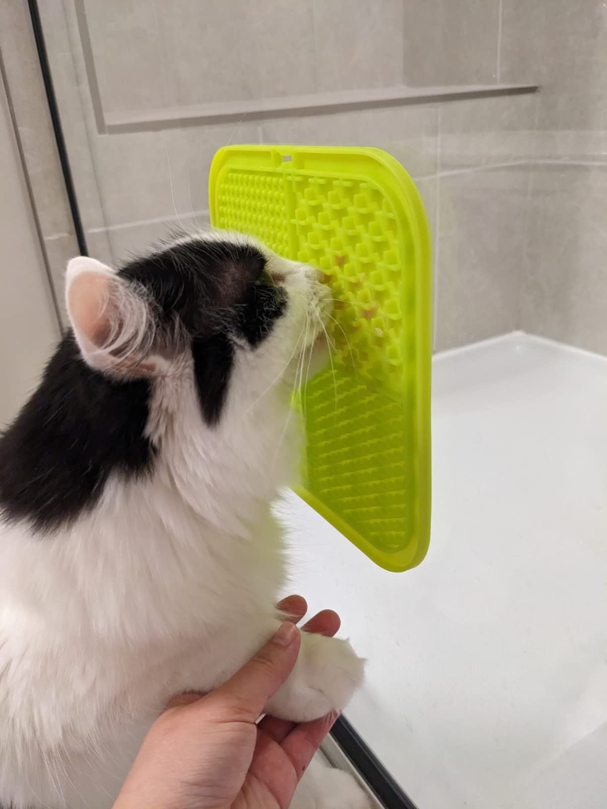 MateeyLife 2PCS Small Lick Mat for Dogs and Cats, Licking Mats for Dog Anxiety Relief, Cat Peanut Butter Lick Pad for Boredom Reducer, Dog Treat Mat Perfect for Bathing Grooming Blue&Green customer photo 2