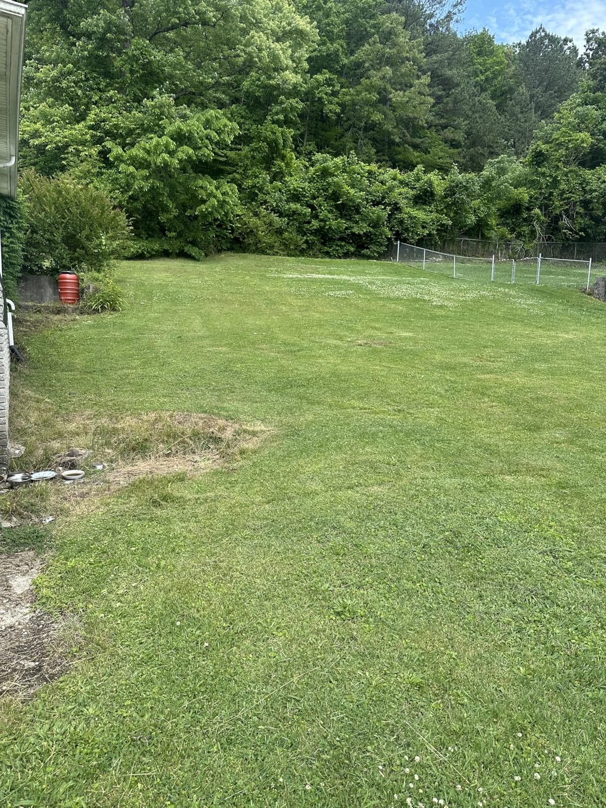 EGO POWER+ Electric Lawn Mower, Cordless Push with Select Cut - LM2135 customer photo 1