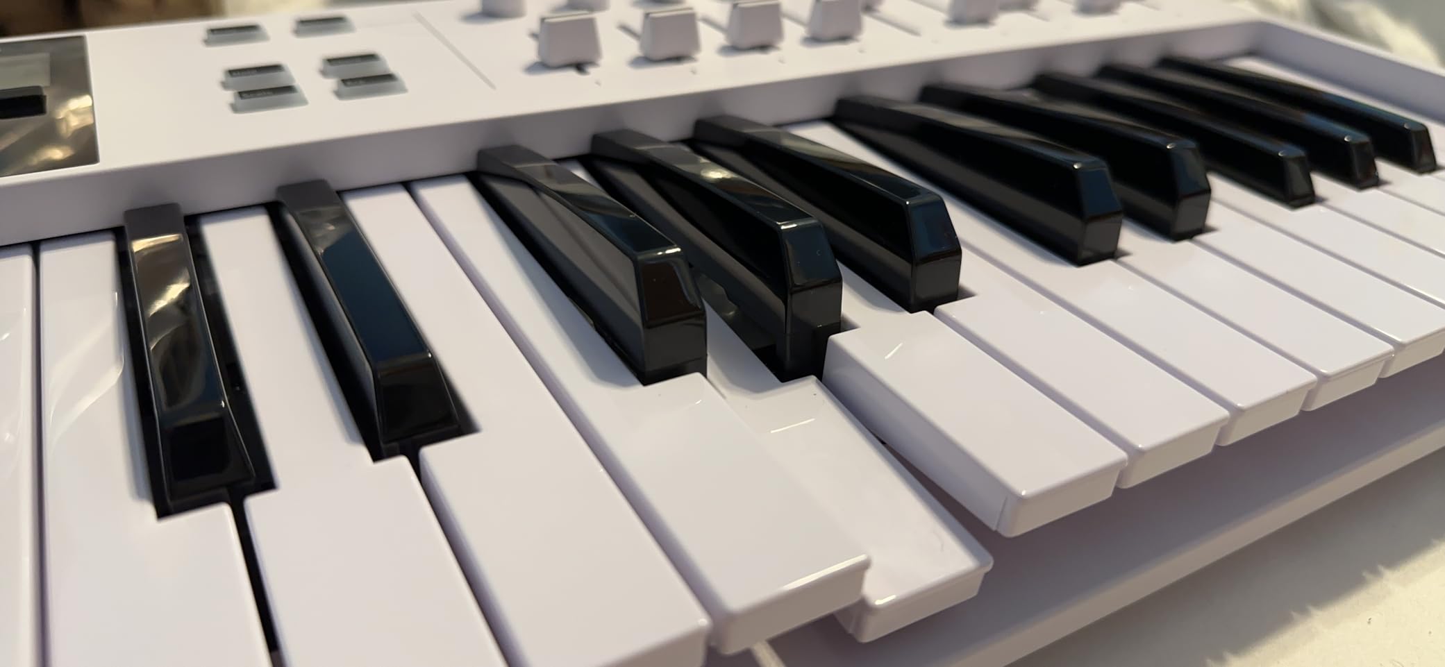 Arturia KeyLab Essential mk3 - 49 Key USB MIDI Keyboard Controller with Analog Lab V Software Included customer photo 1