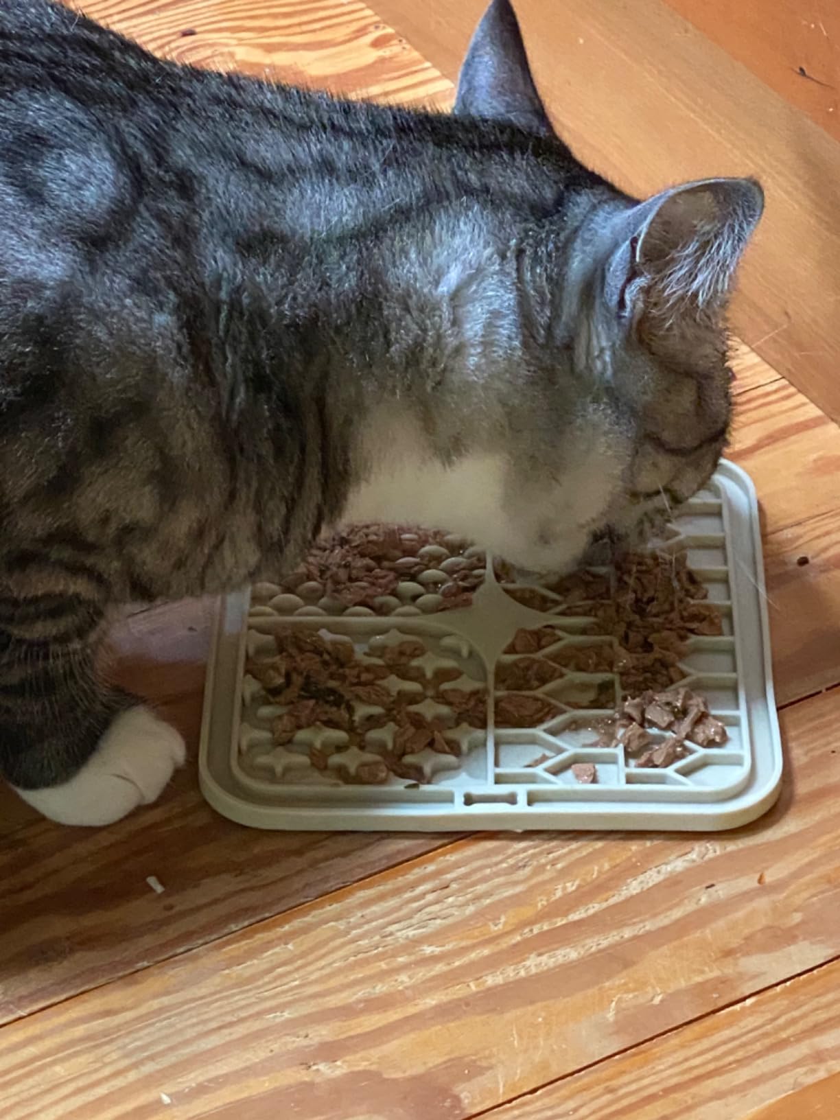 Lick Mat for Dogs and Cats，Cat Licking Pad with Suction Cups for Dog Anxiety Relief，Dog Peanut Butter Lick Pads for Dogs Perfect for Bathing Grooming,Slow Feeders for Dogs and Cats,4Pack customer photo 1