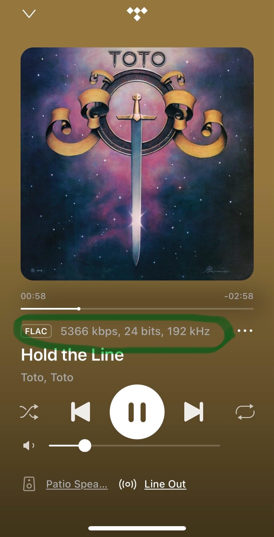 WiiM Pro Plus Music Streamer for Stereo Systems, Modernize Your Hi-Fi | Hi-Res Streaming, AirPlay 2, Spotify Connect, and Smart Control customer photo 1