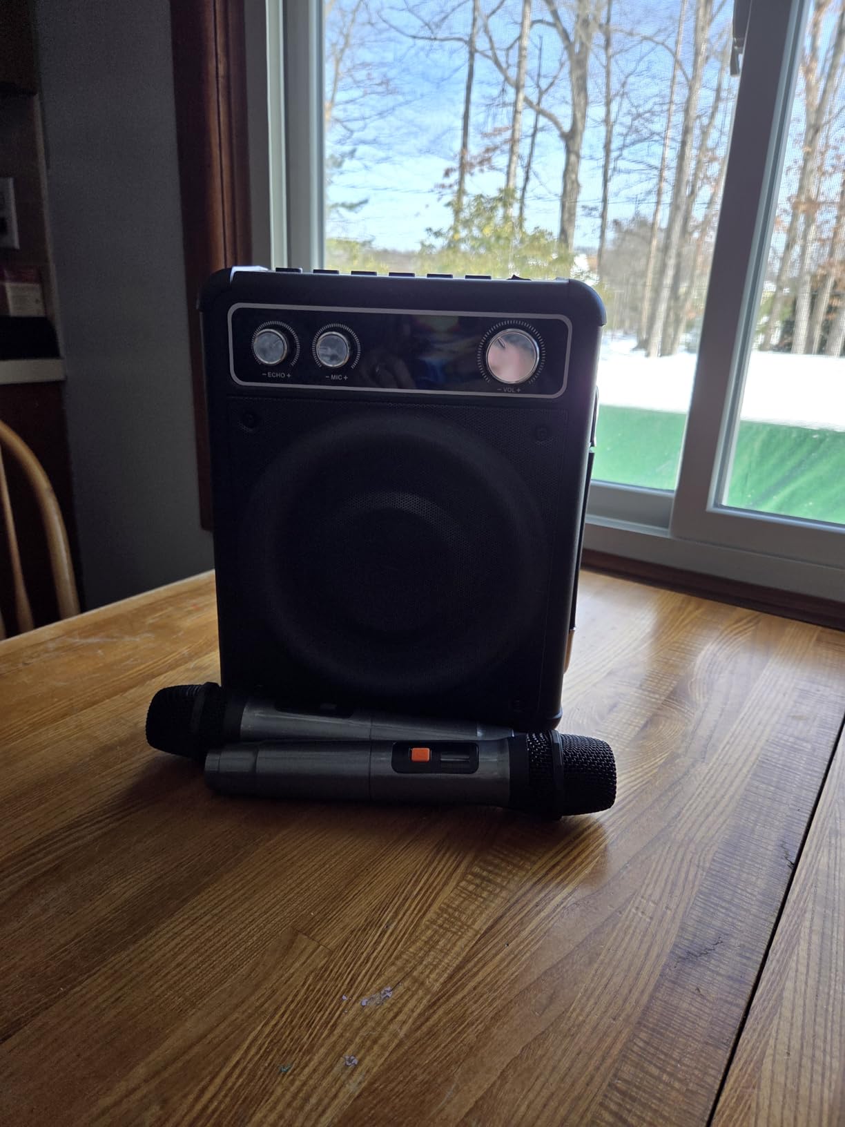 VOSOCO Karaoke Machine, Bluetooth Speaker with 2 Wireless Mics for Adults | 2026 Portable PA System with LED Light, Supports TWS Echo Adjustment TF USB AUX Inputs for Birthday Home Party Outdoor Travel customer photo 1