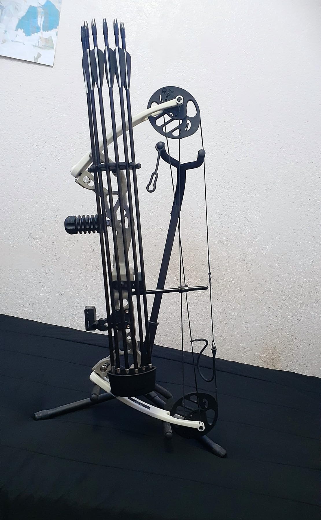Sanlida Archery Dragon X6 Compound Bow Kit for Youth, Kids & Beginners, Bow and Arrows Set, 19