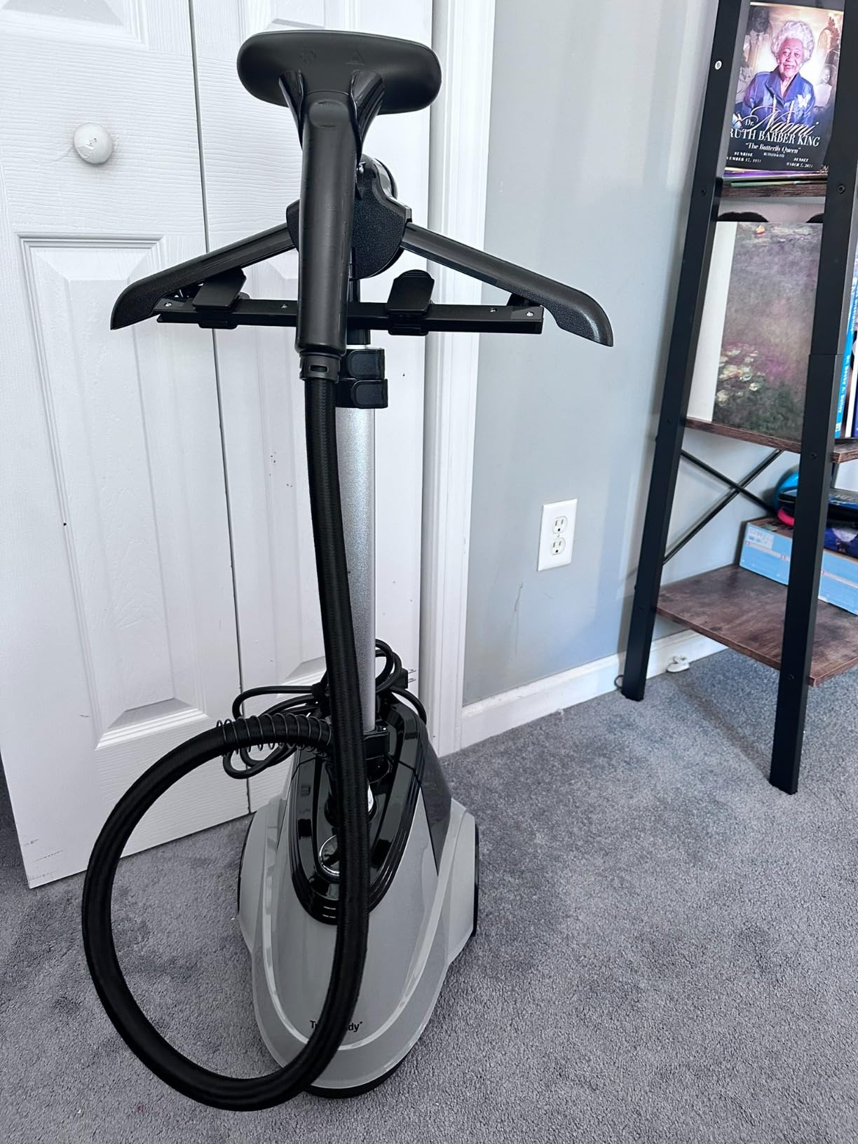 True & Tidy Heavy-Duty Garment Steamer w/ 3 Settings, 3L Water Tank, 1800W customer photo 2