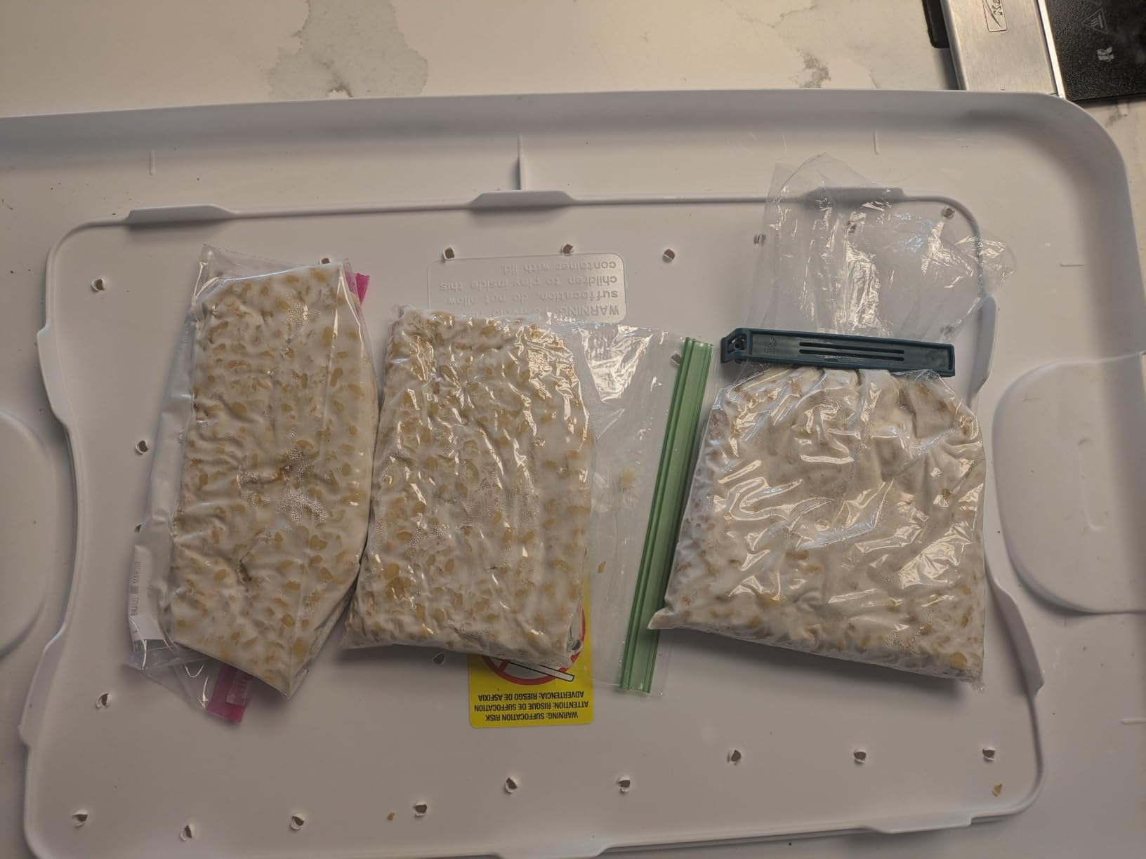 Tempeh Starter Culture with Rhizopus Spores - Make Delicious Tempeh at Home, 0.7oz customer photo 2
