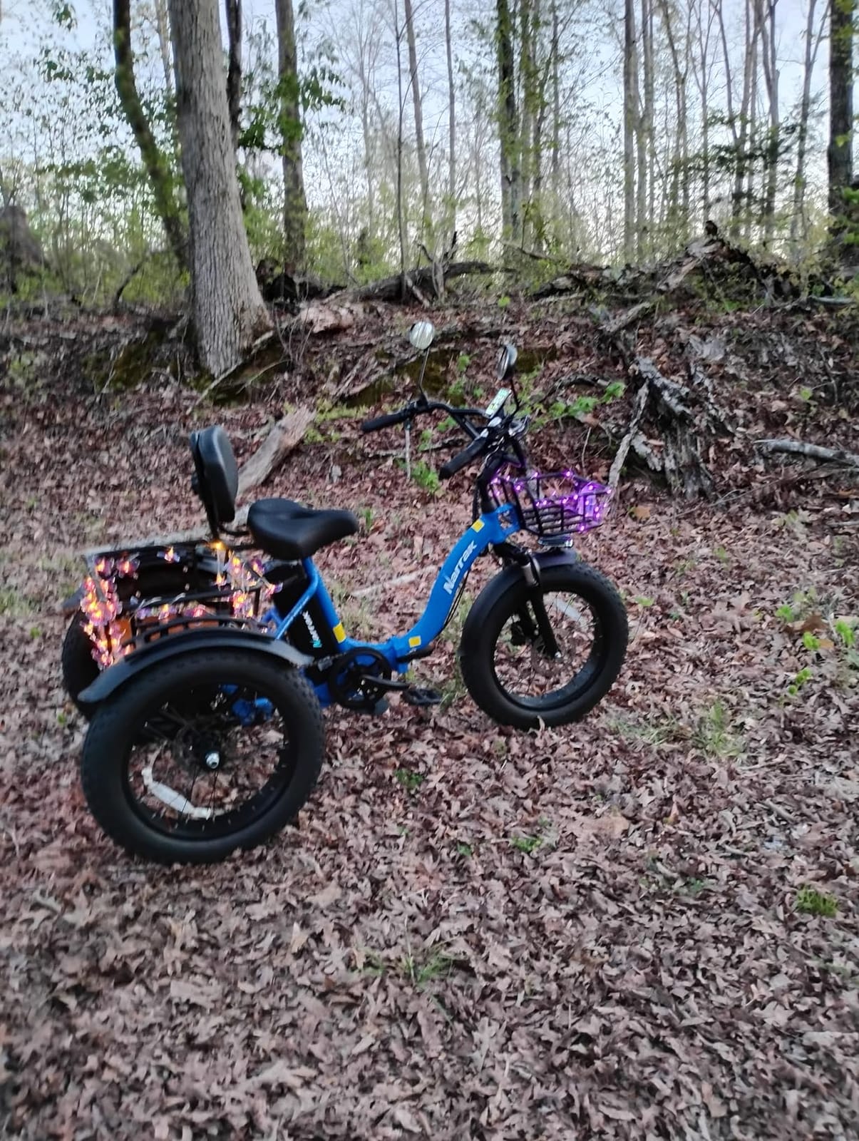 NARRAK Electric Tricycle for Adults, 750W(Peak 1350W), 48V 13Ah eBike, 20