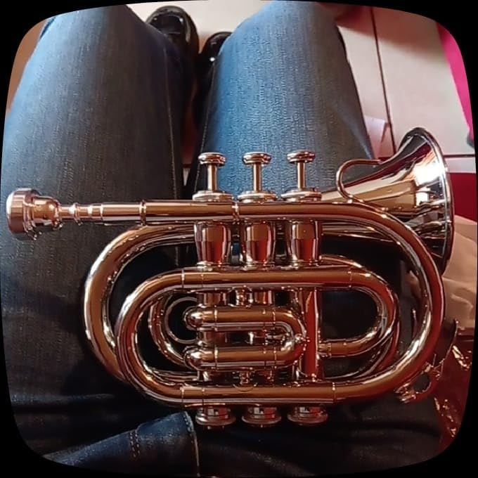 Bb Pocket Trumpet - Mini Brass Instrument for Beginners, Gold Lacquer Finish with 7C Mouthpiece & Case, Ideal for Travel Marching Band Practice (Golden) customer photo 2