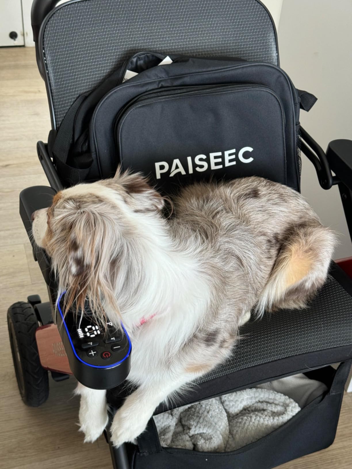 Paiseec W3 3-in-1 Electric Wheelchair for Adults with Push-Assist, Lightweight Electric Wheelchair Foldable customer photo 2