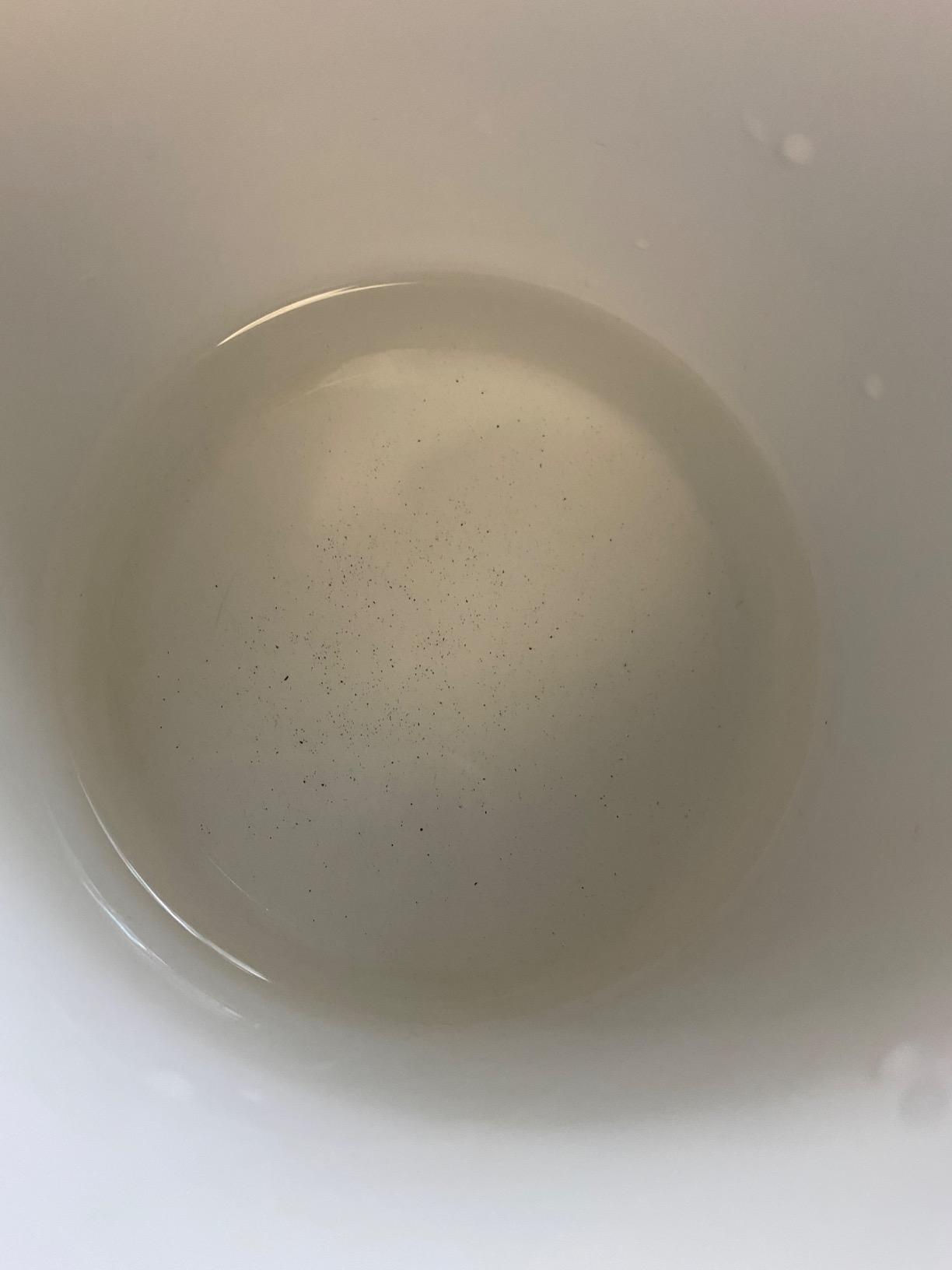 Alkanatur Water Filter Pitcher Removes Fluoride, Microplastics, PFAs - Adds Magnesium - Hydrogenates & Ionizes Water - Removes Chlorine, Heavy Metals - Certified UNE 149101:2015 customer photo 1