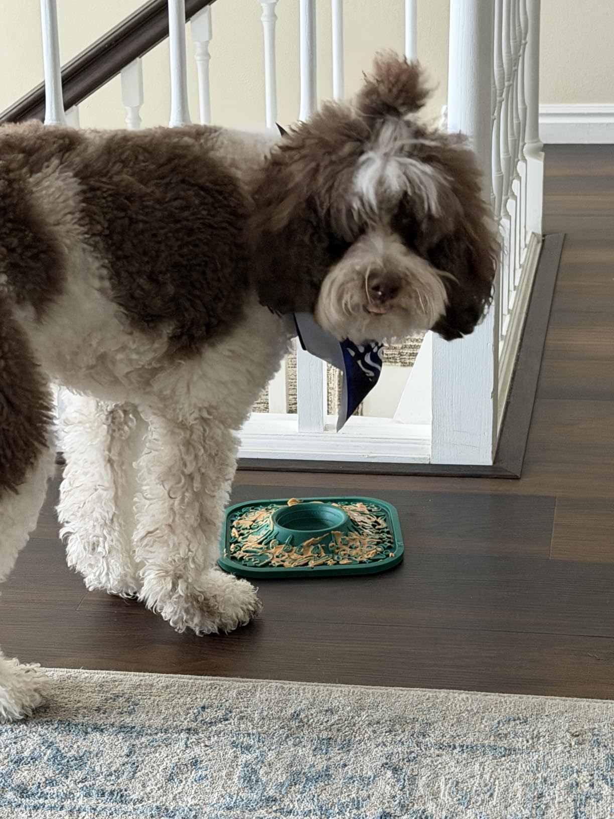 Woof LickMat, Slow Feeder Mat for Dogs, Green customer photo 2