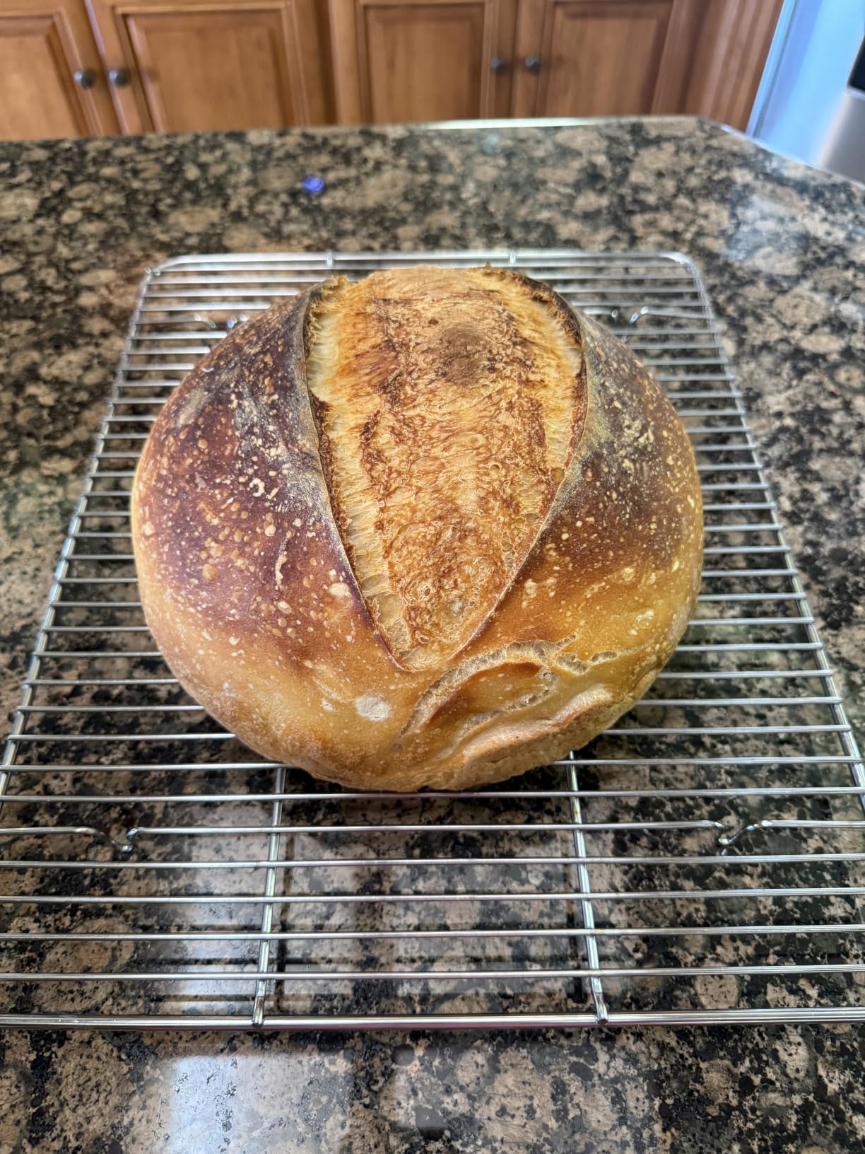 Superbaking Sourdough Starter Kit: 9