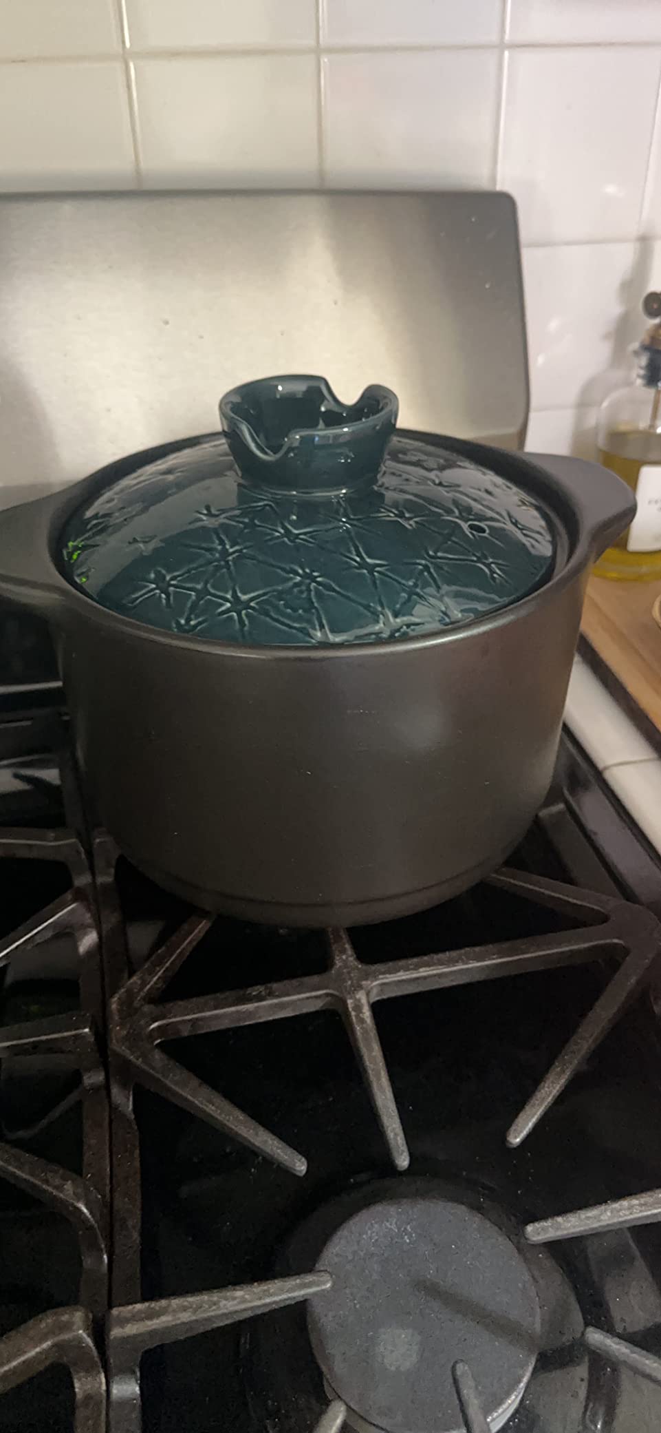 Ceramic Cooking Pot 2.1QT - Authentic Japanese Donabe Clay Pot - Earthenware Stew Pot for Slow Cooking, Casserole with Green Lid, Healthy & Non Toxic customer photo 2