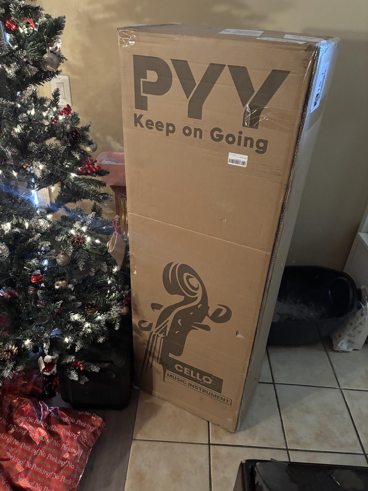 PYY Cello 4/4 Full Size - Solid Wood Acoustic Cello Package with Stand, Case, Bow, Rosin, Tuner & Extra Strings, Perfect for Students & Adult Beginners(Red) customer photo 1