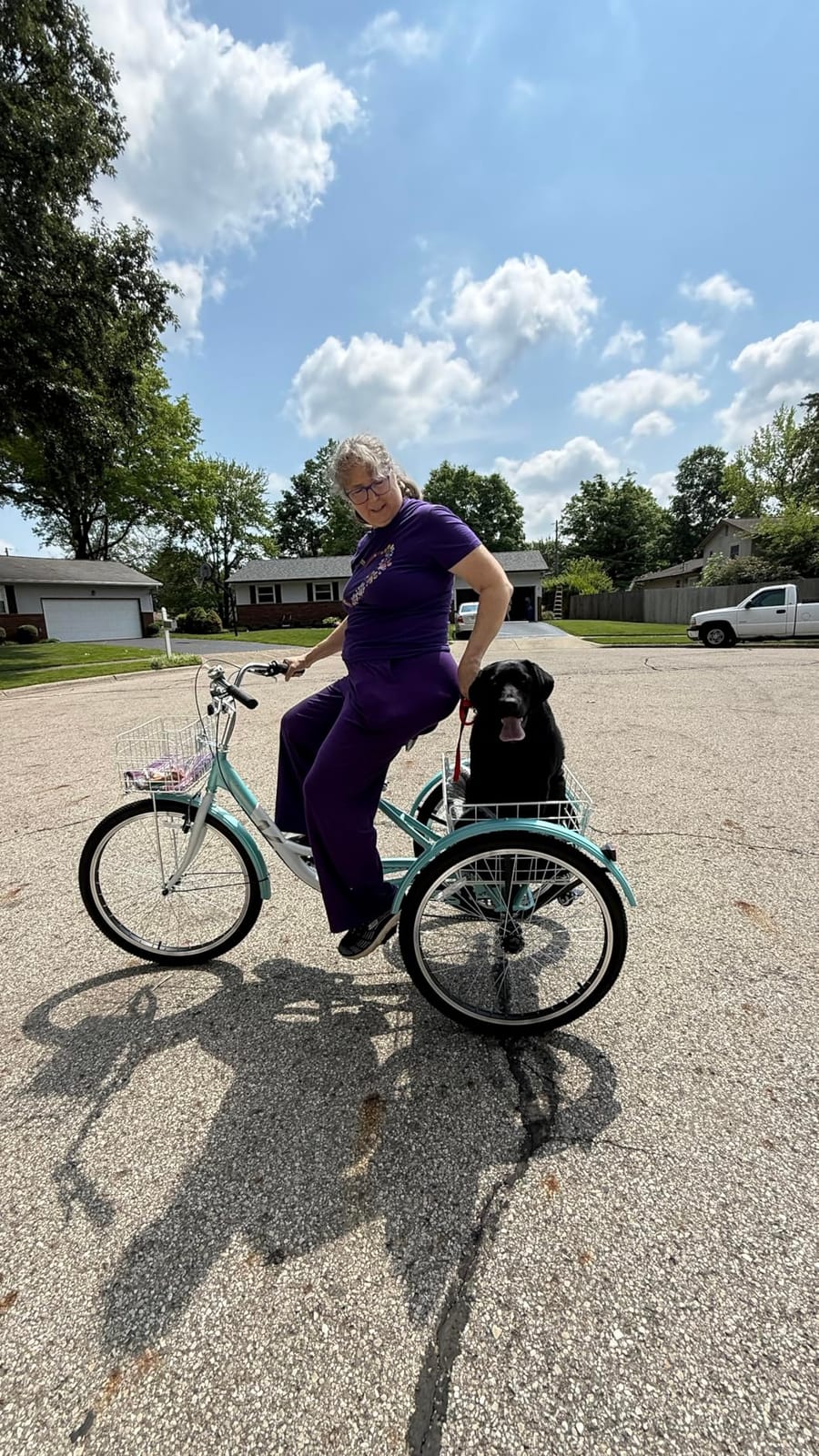 VIRIBUS 7 Speed Adult Tricycle, Front & Rear Removable Wheeled Baskets, 400 lb Capacity customer photo 1