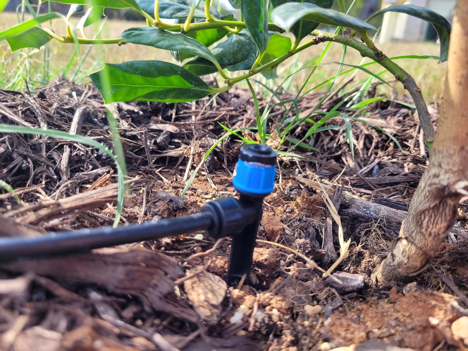 MIXC 300FT Drip Irrigation System Kit, Automatic Garden Misting Watering System with 100FT 1/2
