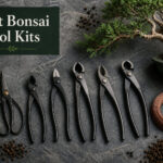Best Bonsai Tool Kits