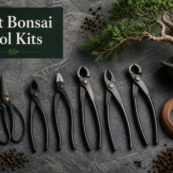 Best Bonsai Tool Kits