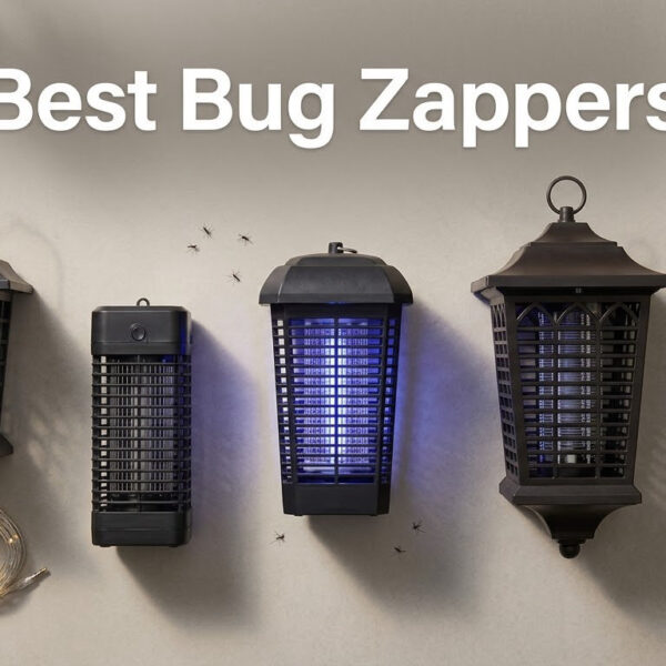 Best Bug Zappers