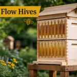 Best Flow Hives
