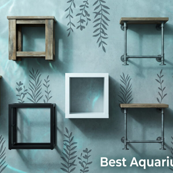 Best Aquarium Stands