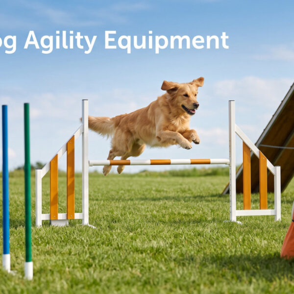 Best Dog Agility Equipment