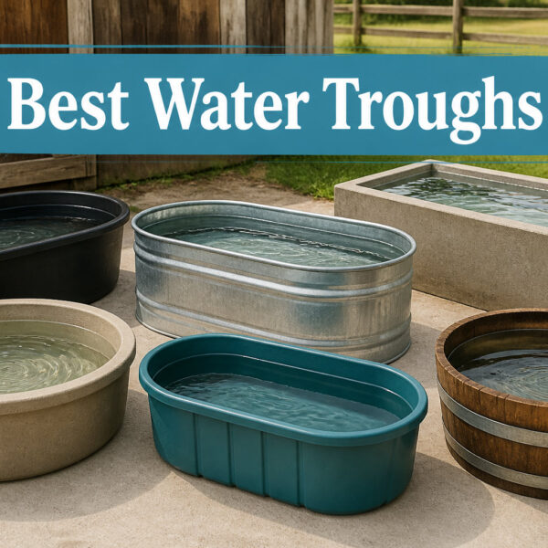 Best Water Troughs