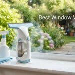 Best Window Vacuums